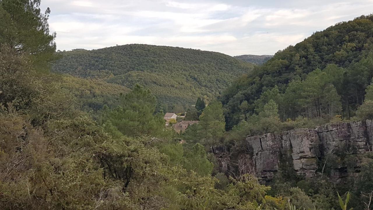 Le Clos Du Cedre Saint Sebastien d'Aigrefeuille Exterior foto