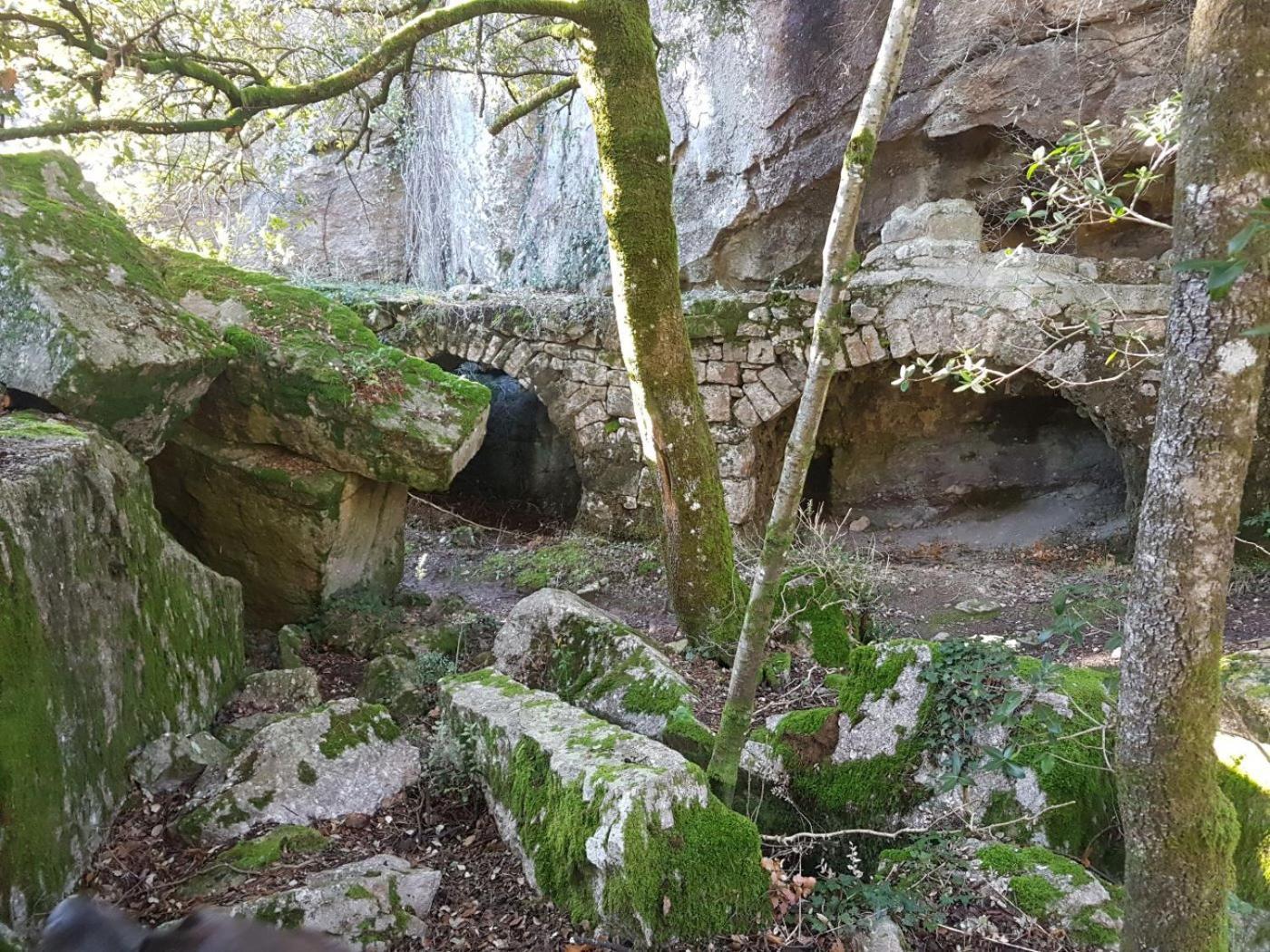 Le Clos Du Cedre Saint Sebastien d'Aigrefeuille Exterior foto
